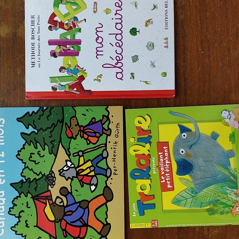Lot of 3 French language kids books